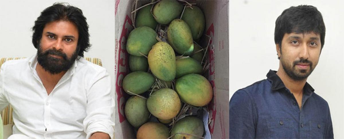 Pawan Kalyan sends mangoes to Gabbar Singh 2 director Bobby